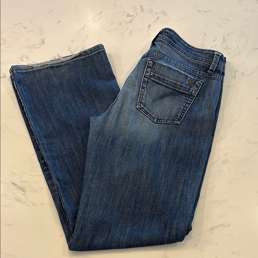 Joe’s Wide Leg Muse Jeans 29